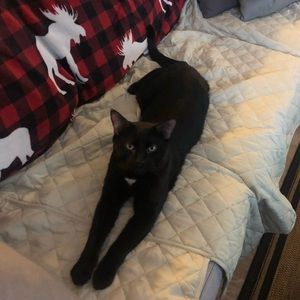 Meet your Posher, Andreanne